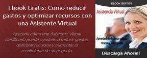 Ebook Asistencia Virtual