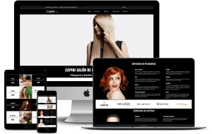 paginas web en wordpress Diseño Web Capini