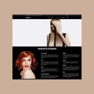 paginas web en wordpress capini